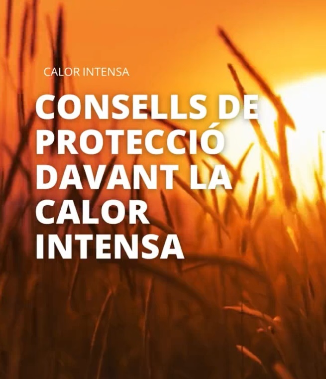 Més informació sobre l'article Avis calor intensa